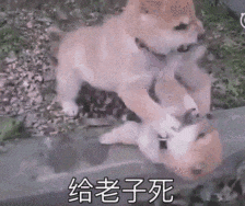 火箭客场险胜勇士创六连胜纪录 库里复出难改败